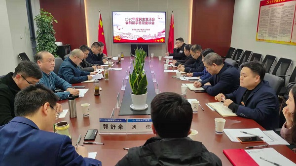 安徽鹽業(yè)地產(chǎn)集團(tuán)公司黨委召開(kāi)2020年度民主生活會(huì)前征求意見(jiàn)座談會(huì)
