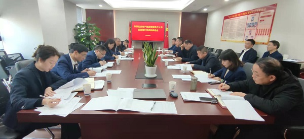 地產(chǎn)集團召開品質提升年活動推進會